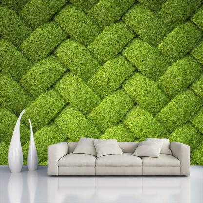 Green nature green nature HD phone wallpaper  Peakpx
